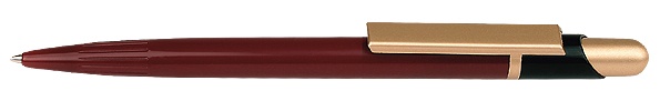 Pildspalva LPPFM5